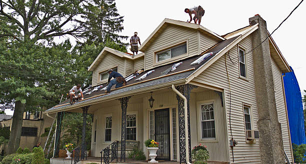 Best Gutter Installation and Roofing  in Carle Place, NY